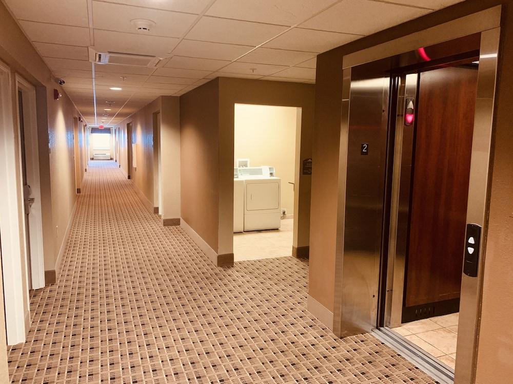Microtel Inn & Suites-Sayre, Pa Eksteriør billede